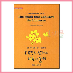 서적_4254_The Spark that Can Save the Universe (온 우주를 살리는 마음의 불씨) - 생활 속의 참선수행 6(대행 저)