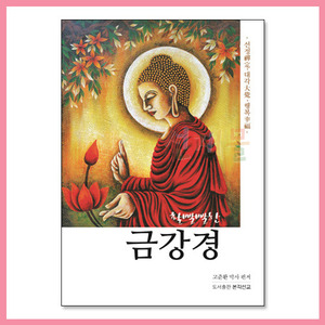 서적 4169_활빨빨한 금강경 - 선정,대각,행복 (고준환 저)